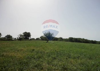 20200606115331-469576-14.jpg - Casa indipendente Contrada Gorgofreddo 229, Monopoli - foto 14