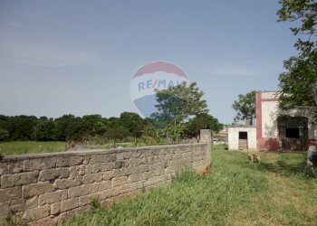 20200606115336-469576-16.jpg - Casa indipendente Contrada Gorgofreddo 229, Monopoli - foto 15