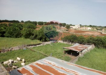 20200606115348-469576-21.jpg - Casa indipendente Contrada Gorgofreddo 229, Monopoli - foto 20