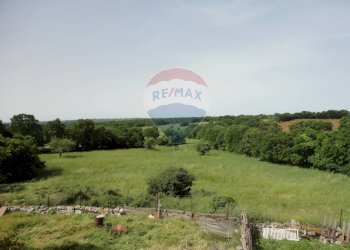 20200606115355-469576-23.jpg - Casa indipendente Contrada Gorgofreddo 229, Monopoli - foto 22