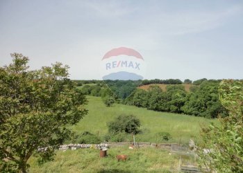 20200606115357-469576-24.jpg - Casa indipendente Contrada Gorgofreddo 229, Monopoli - foto 23