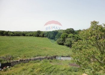 20200606115400-469576-25.jpg - Casa indipendente Contrada Gorgofreddo 229, Monopoli - foto 24