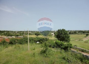 20200606115408-469576-28.jpg - Casa indipendente Contrada Gorgofreddo 229, Monopoli - foto 27