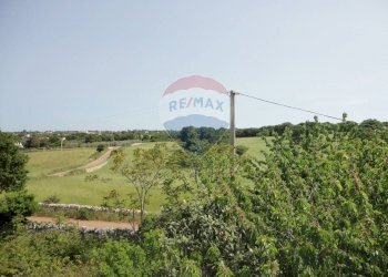 20200606115410-469576-29.jpg - Casa indipendente Contrada Gorgofreddo 229, Monopoli - foto 28