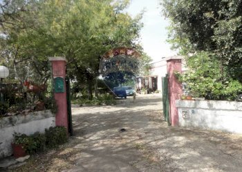 20200606115416-469576-31.jpg - Casa indipendente Contrada Gorgofreddo 229, Monopoli - foto 30