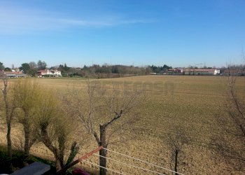 20170308_140323.jpg - Appartamento Mirano - foto 4