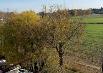 PHOTO-2019-11-26-12-35-19 (1).jpg - Appartamento Mirano - foto 11