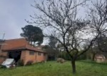 Terreno agricolo Santo Stefano Belbo - foto 6