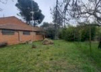 Terreno agricolo Santo Stefano Belbo - foto 8