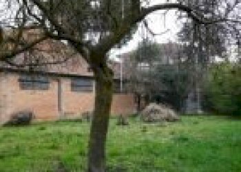 Terreno agricolo Santo Stefano Belbo - foto 19