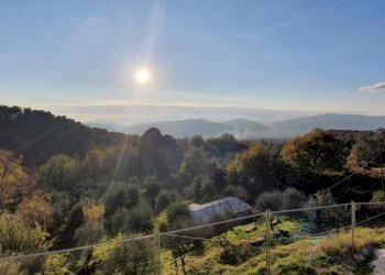 20201130_152418 (Copia).jpg - Porzione di casa Aulla - foto 9