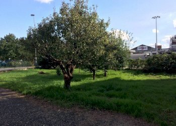 esterno - Rustico via Martini e Rossi, 100, Chieri - foto 17