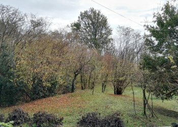 Autunno La Costa di Gavedo5.jpg - Casa indipendente Mulazzo - foto 12