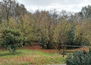 Autunno La Costa di Gavedo4.jpg - Casa indipendente Mulazzo - foto 13