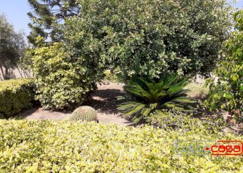 Casa indipendente CONTRADA SANTA ROSALIA, Scicli - foto 17