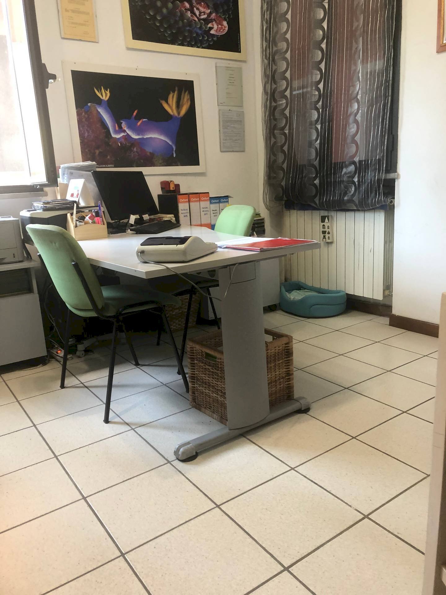 Ufficio Via Di Vittorio, Altopascio - foto 3