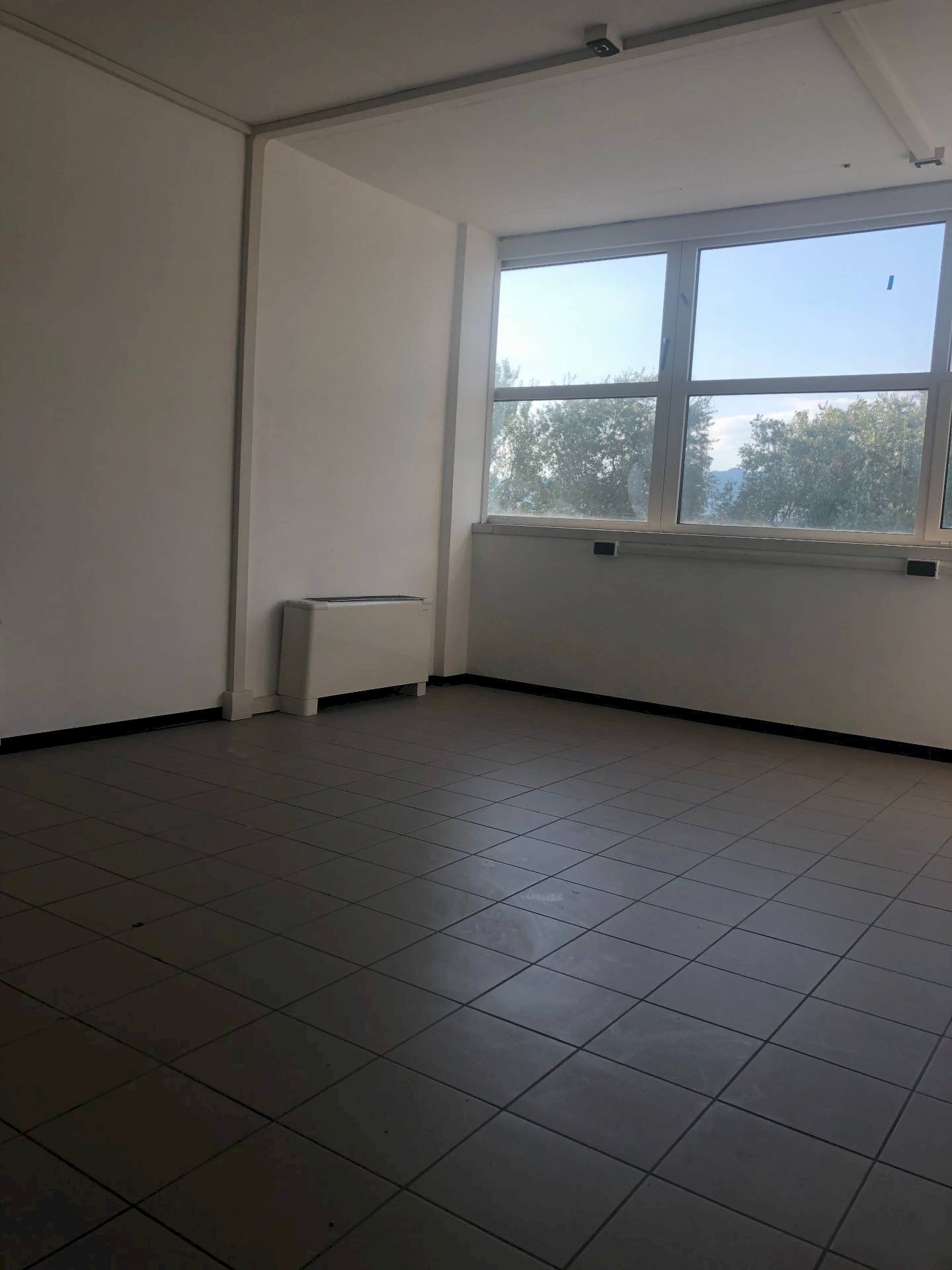 Commercial Activity Via Del Centenario, Porcari - photo 1