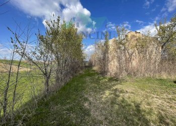 Rustic CASTELLETTA, Cingoli - photo 7