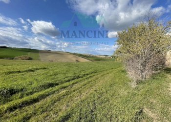 Rustic CASTELLETTA, Cingoli - photo 10