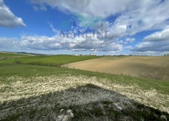 Rustic CASTELLETTA, Cingoli - photo 13