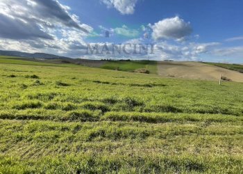 Rustic CASTELLETTA, Cingoli - photo 16
