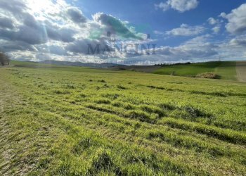Rustic CASTELLETTA, Cingoli - photo 17