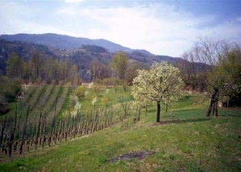 Rustico Manta - foto 1