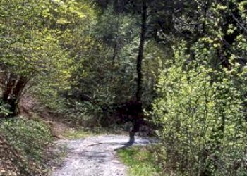 Rustico Manta - foto 3