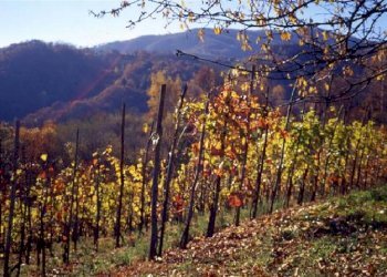 Rustico Manta - foto 4