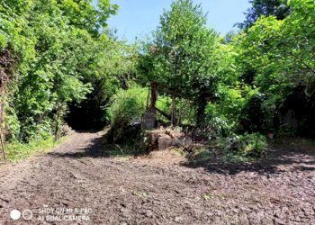 Rustico Manta - foto 16