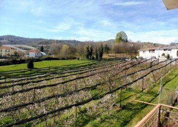 Appartamento Verzuolo - foto 4