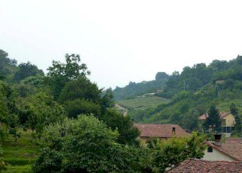 Appartamento Manta - foto 13