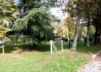 Independent house Manta - photo 11