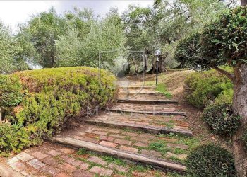 Rustico Panicale - foto 23