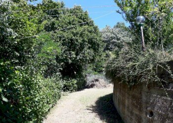 Rustic Alfiano Natta - photo 7