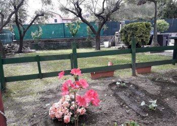 7.jpeg - Villa Trifamiliare La Spezia - foto 12