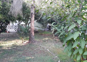 1.jpg - Independent house Carrara - photo 2