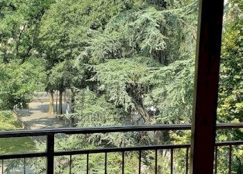 20190831_121035_compress77.jpg - Terreno non edificabile Via Fosse Ardeatine 3, Parma - foto 15