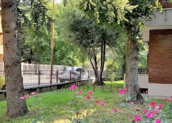 20190831_124031_compress80.jpg - Terreno non edificabile Via Fosse Ardeatine 3, Parma - foto 21
