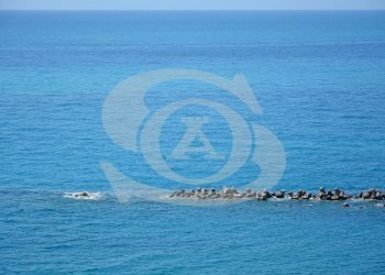 DSC_5604.jpg - Trilocale Strada Valdirodi 37, Ospedaletti - foto 15