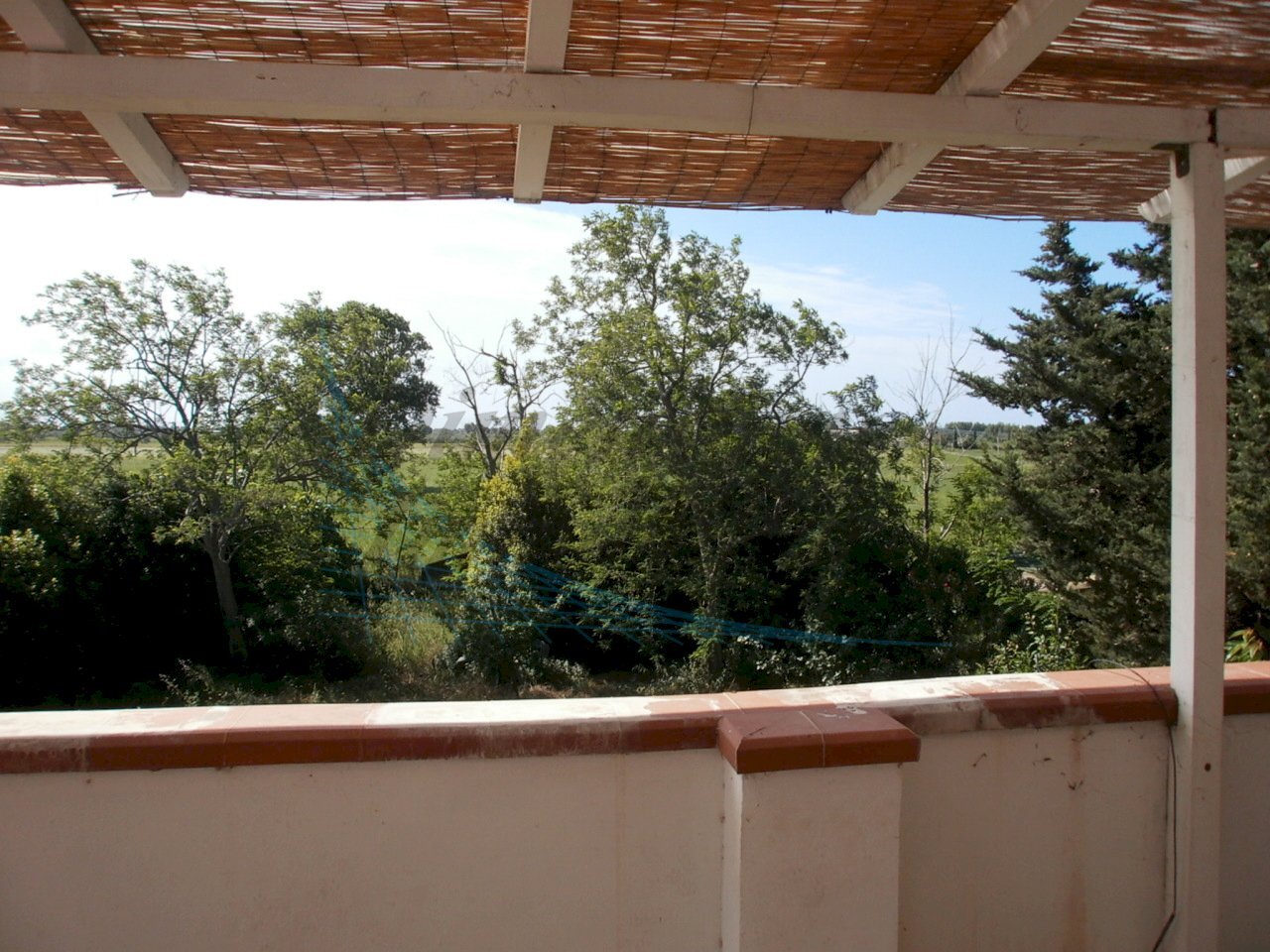 Terrazza ampia.JPG - Appartamento Via della Torre  21, Rosignano Marittimo - foto 1