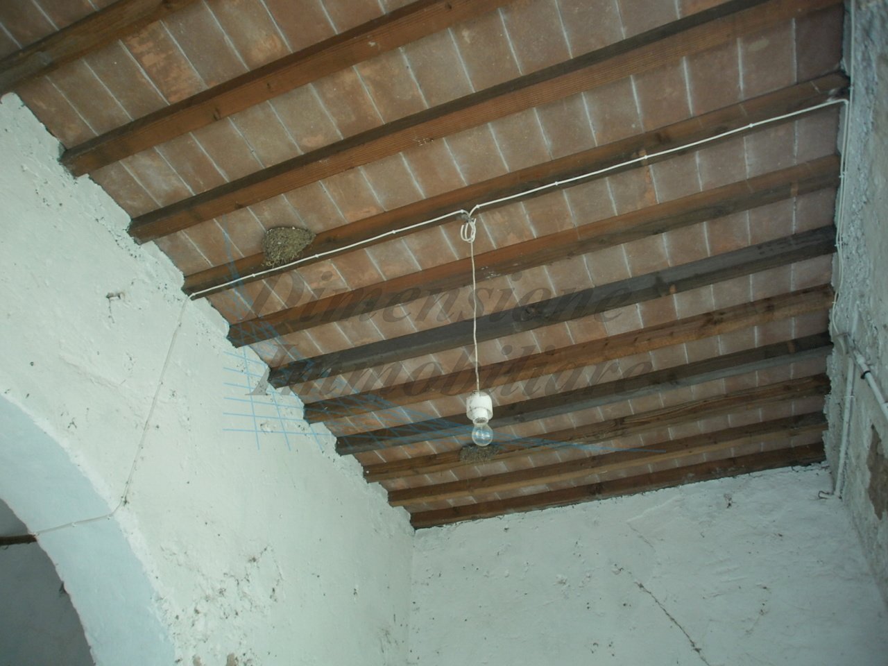 P5210450.JPG - Appartamento Via della Torre  21, Rosignano Marittimo - foto 2