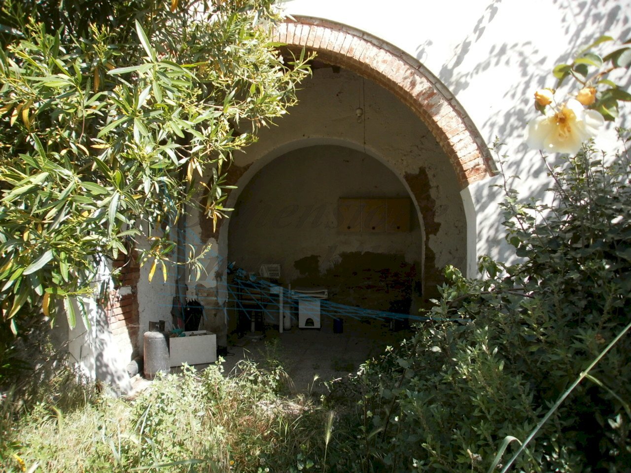 P5210449.JPG - Appartamento Via della Torre  21, Rosignano Marittimo - foto 3