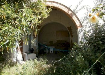 P5210449.JPG - Appartamento Via della Torre  21, Rosignano Marittimo - foto 3