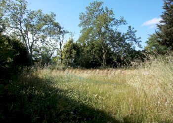 Terreno 1.JPG - Appartamento Via della Torre  21, Rosignano Marittimo - foto 5