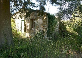 Rustic Podere Colombaio, San Casciano dei Bagni - photo 3