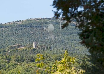 Rustic Podere Colombaio, San Casciano dei Bagni - photo 8