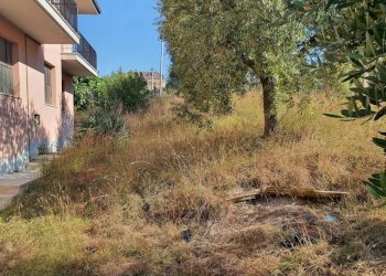 Casa indipendente colle di cadibona, San Benedetto del Tronto - foto 2