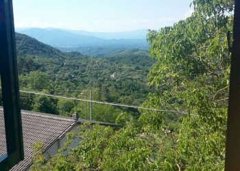 IMG-20170530-WA0051.jpg - Appartamento Fosdinovo - foto 12