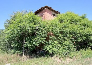 Rustico Calderara di Reno - foto 6